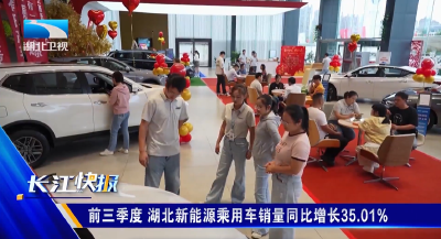 前三季度 湖北新能源乘用车销量同比增长35.01%