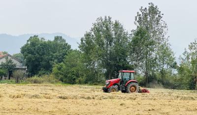 秸秆“变身”“绿色财富”