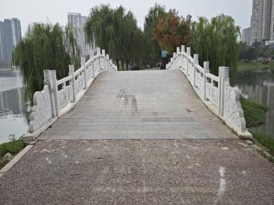 【报道追踪】尹家湖公园优化管理还便利于民