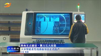 大宋智能柔性线路板项目正式投产