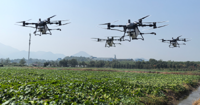 【丰收进行时】“空中科技”让土地释放高效产能