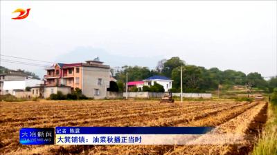 大箕铺镇：油菜秋播正当时