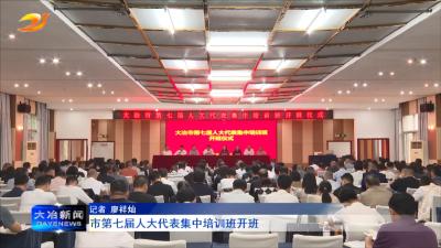 市第七届人大代表集中培训班开班