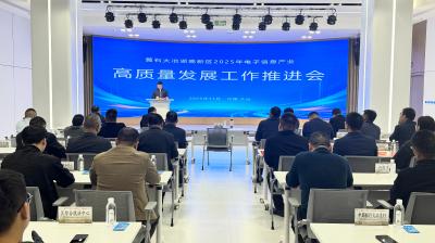 大冶湖高新区召开2025年电子信息产业高质量发展工作推进会 6家企业入园 电子信息产业集聚再提速