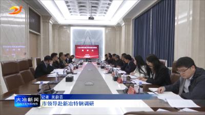 市领导赴新冶特钢调研