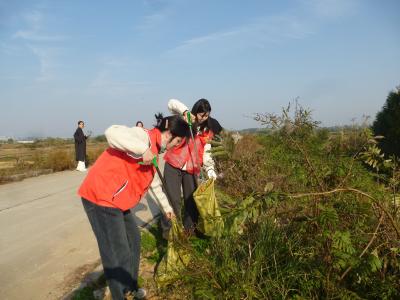 【图片新闻】清理湖堤垃圾