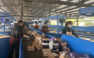 【经济观察】“双十一”勾勒区域经济新生态