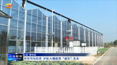 排查用电隐患 护航大棚蔬菜“越冬”生长