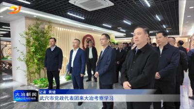 武穴市党政代表团来大冶考察学习