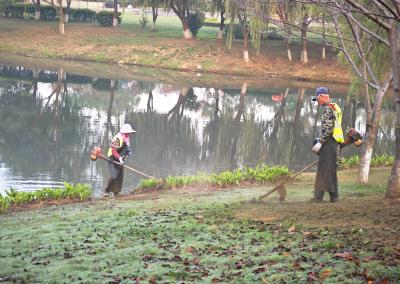 【图片新闻】守护绿茵