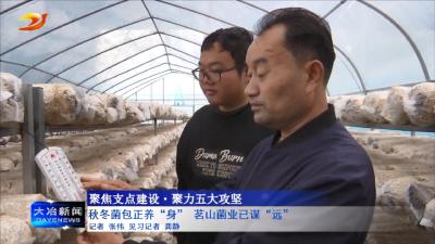 秋冬菌包正养“身” 茗山菌业已谋“远”