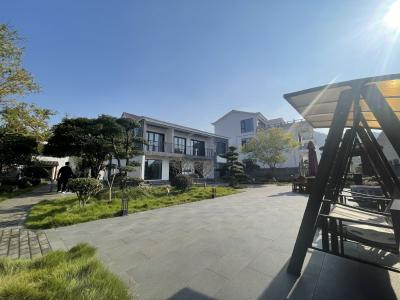 南山村的“慢”时光