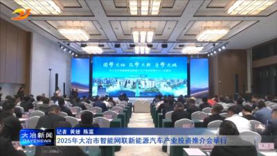 2025年大冶市智能网联新能源汽车产业投资推介会举行