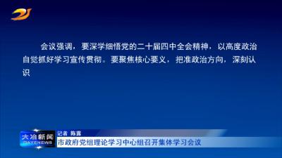 市政府党组理论学习中心组召开集体学习会议