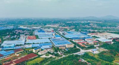 【聚焦支点建设·聚力五大攻坚 工业振兴】还地桥镇：先锋企业领跑 产业平台筑基