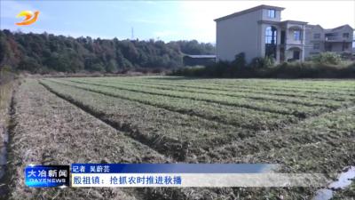 殷祖镇：抢抓农时推进秋播