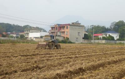 政策“加油” 机械“给力” 大箕铺镇1.55万亩油菜秋播全面提速