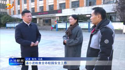 潘小进检查全市校园安全工作