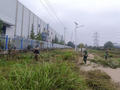 2000平杂草地一日“焕新”