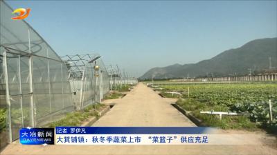 大箕铺镇：秋冬季蔬菜上市 “菜篮子”供应充足
