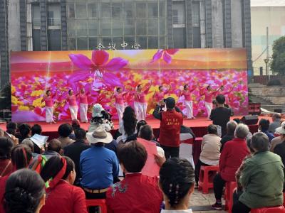 “银龄力量”活跃和美乡村建设一线