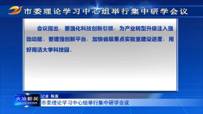 市委理论学习中心组举行集中研学会议