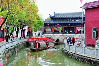 姜桥村：梦里水乡醉游人