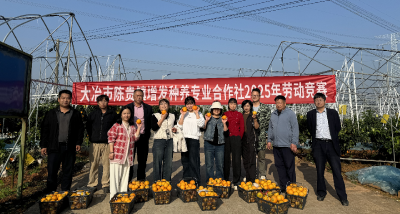 果香满园喜丰收 采摘技能大比拼