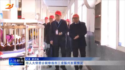 市人大常委会视察我市工业振兴发展情况