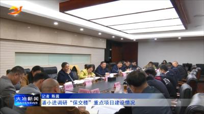 潘小进调研“保交楼”重点项目建设情况