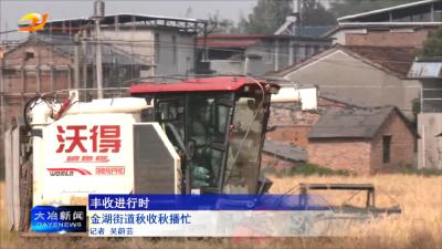 金湖街道秋收秋播忙