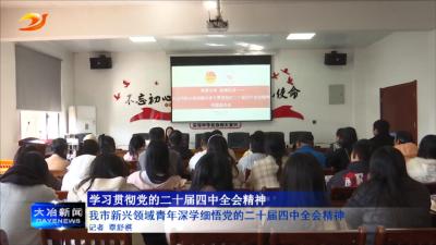 我市新兴领域青年深学细悟党的二十届四中全会精神