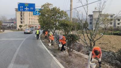 树木“穿新衣” 路域焕新颜 我市全面开展冬季公路养护工作
