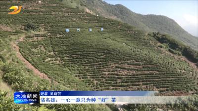 骆名雄：一心一意只为种“好”茶