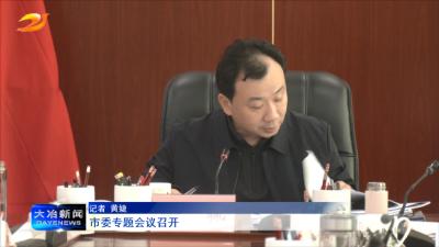 市委专题会议召开