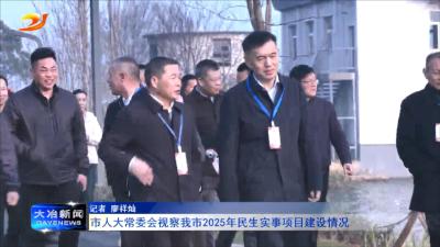 市人大常委会视察我市2025年民生实事项目建设情况