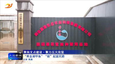 “黄金湖甲鱼”“链”起富民路