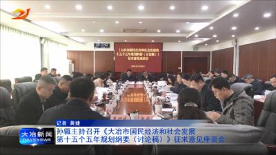 孙辄主持召开《大冶市国民经济和社会发展第十五个五年规划纲要（讨论稿）》征求意见座谈会