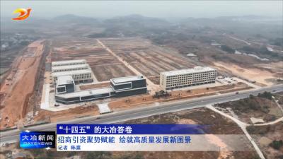 招商引资聚势赋能 绘就高质量发展新图景