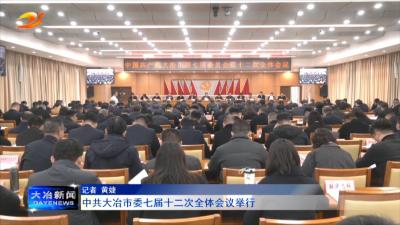 中共大冶市委七届十二次全体会议举行