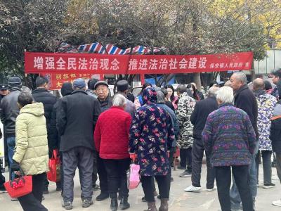 凝聚法治合力 共建平安家园