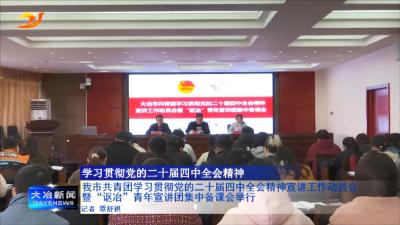 我市共青团学习贯彻党的二十届四中全会精神宣讲工作动员会暨“讴冶”青年宣讲团集中备课会举行
