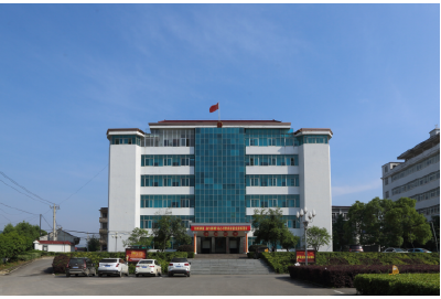 大冶市金山店镇领导简介