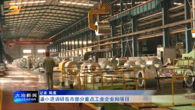 潘小进调研我市部分重点工业企业和项目