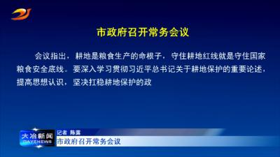 市政府召开常务会议