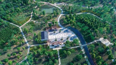 【“十四五”的大冶答卷】五年砥砺著华章 铜都绿韵绘新景