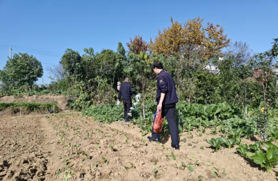罗家桥街道：专项治理“三小一堆”