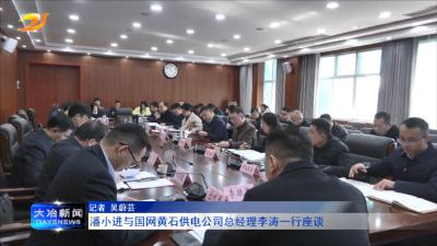 潘小进与国网黄石供电公司总经理李涛一行座谈