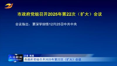 市政府党组召开2025年第22次（扩大）会议