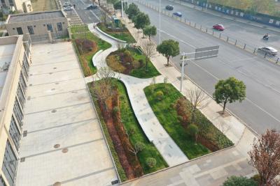 【聚焦支点建设·聚力五大攻坚 品质提升】一方绿地 多重便利 腾龙大道“口袋公园”开放